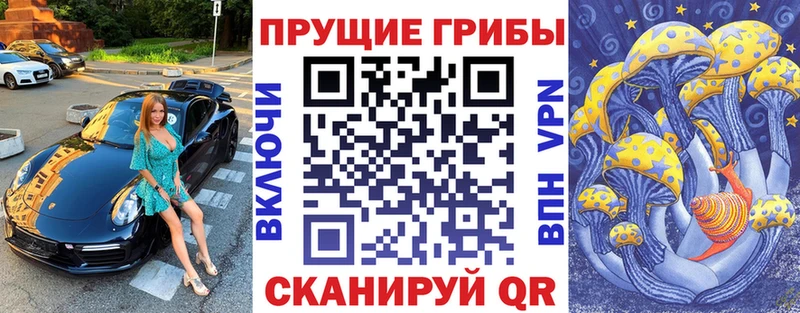 Псилоцибиновые грибы ЛСД  Черногорск 